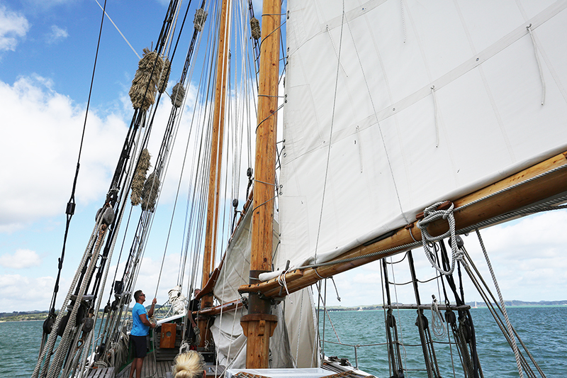 Sail on the R Tucker Thompson, Bay of Islands, NZ